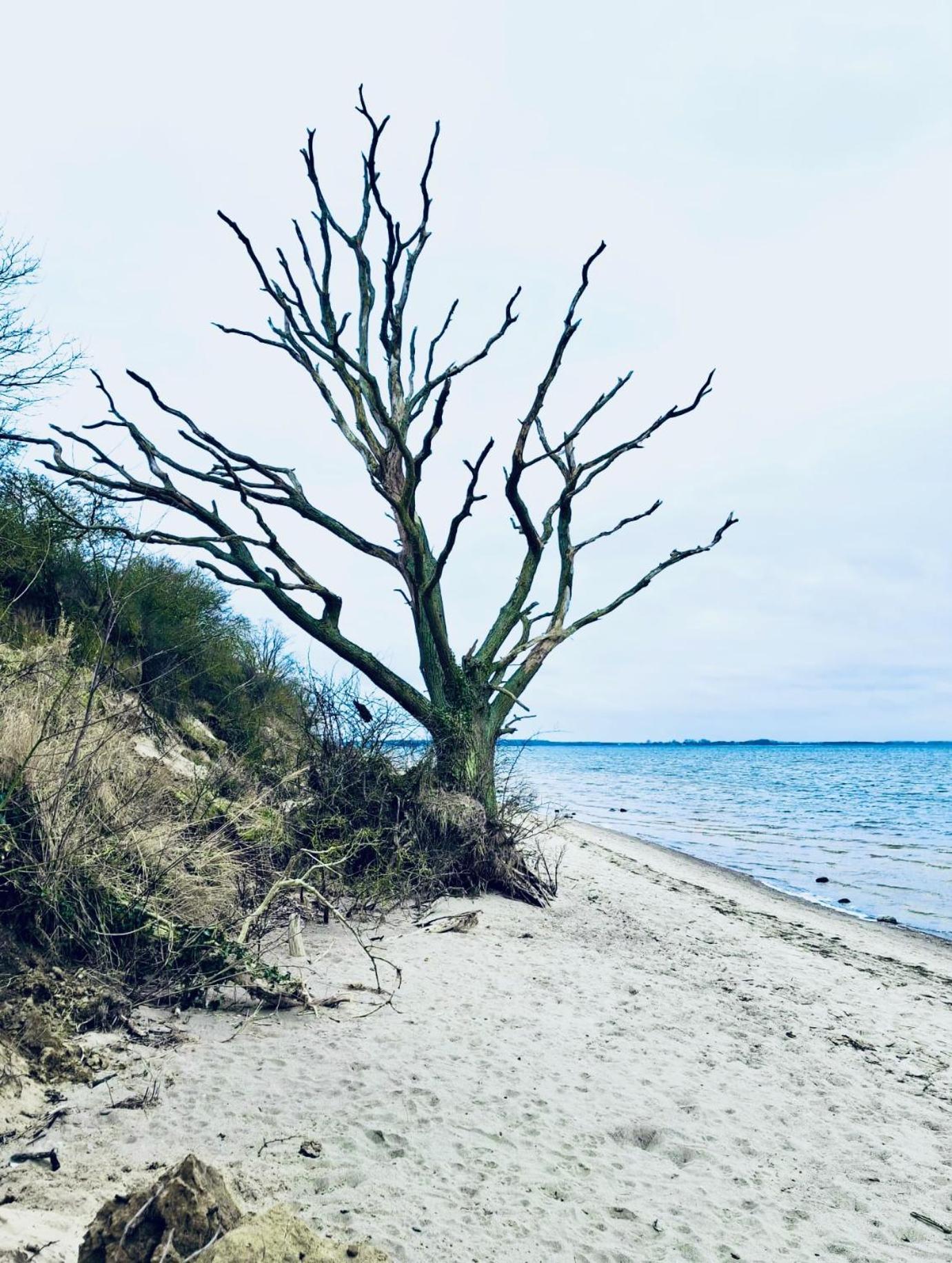 Ferienhaus Am Strand Loissin Bagian luar foto