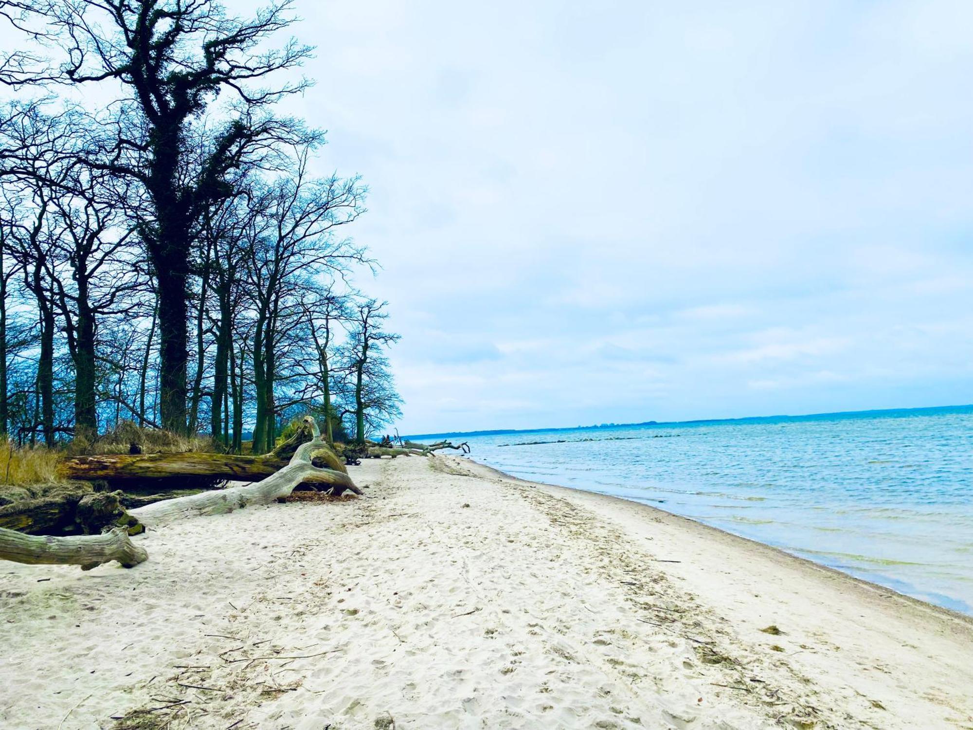Ferienhaus Am Strand Loissin Bagian luar foto